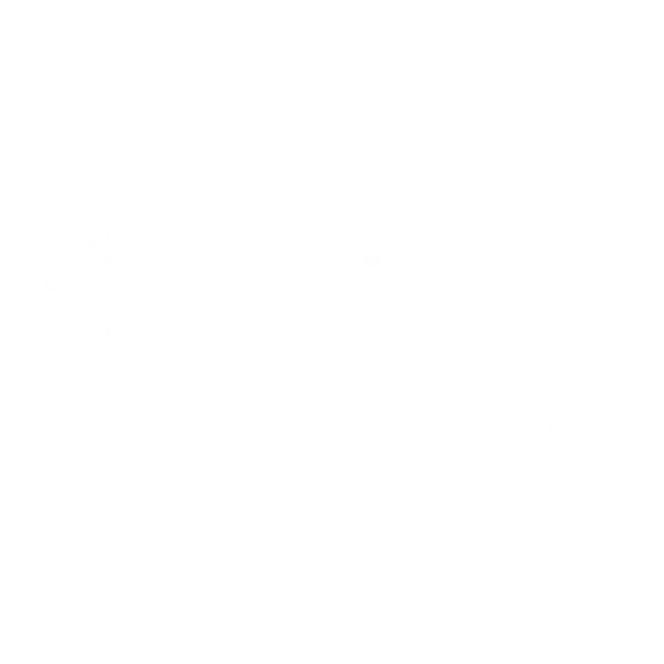 Duzmek